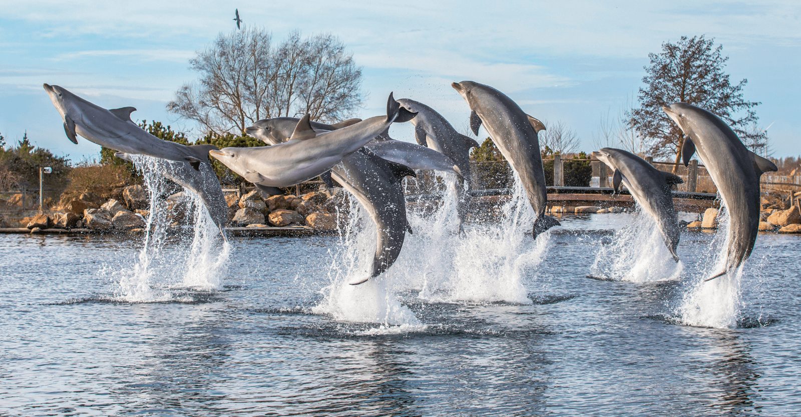 Dolfinarium